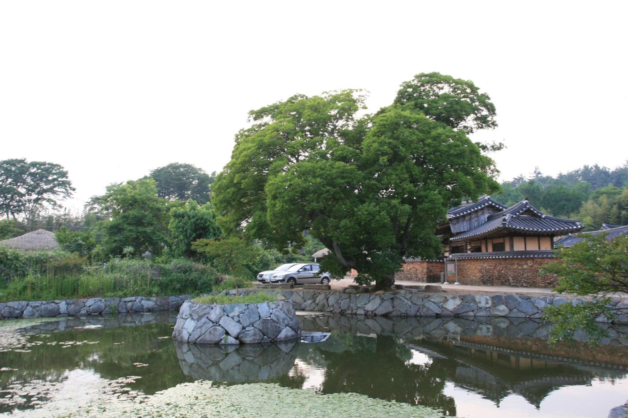 Jinrae Lee'S Traditional House Boseong Экстерьер фото